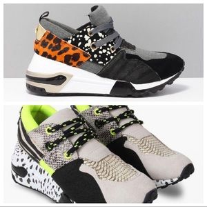 LOOKING 👀 For STEVE MADDEN CLIFF SNEAKER SZ 6